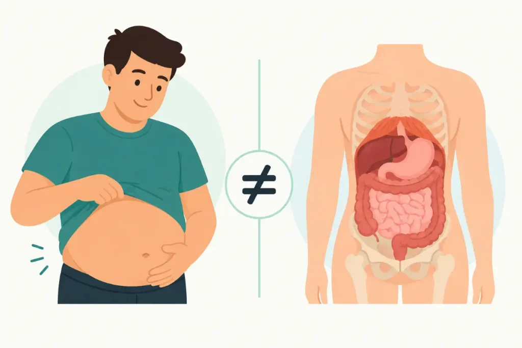 Belly And Abdomen Are Not Always Interchangeable